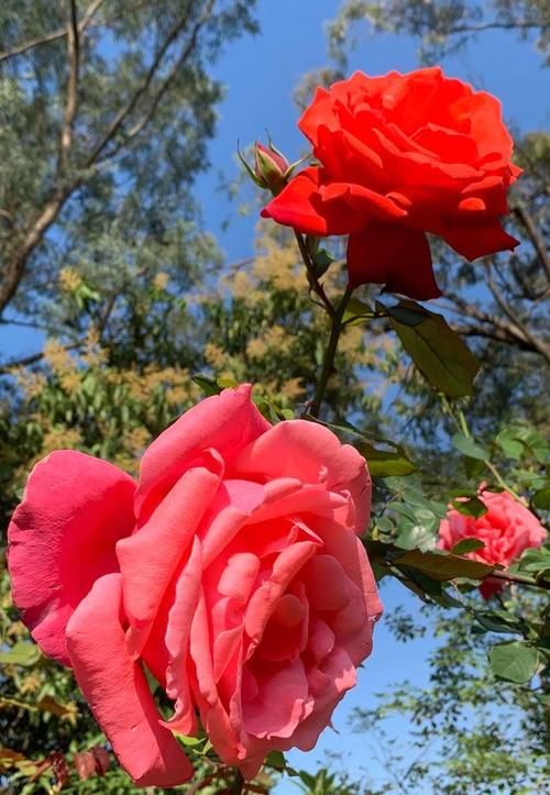 老年|喧嚣过后，一切归于平静