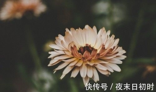 桃花|明天开始三大生肖好运不断，桃花不断好运来袭，赚钱如鱼得水