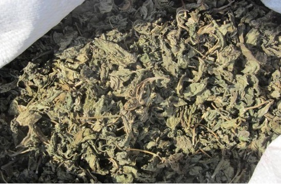 六月苋|村民把野菜当鸡蛋吃给金子也不愿换，孩子长身体女人减肥少不了！