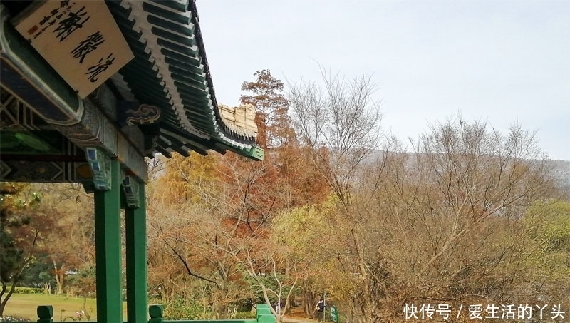 流徽榭|紫金山风景区欣赏雪景，徐向前元帅亲题“流徽榭”