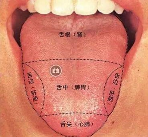 脂肪肝|拜拜了，肝炎，拜拜了，脂肪肝，拜拜了，肝硬化