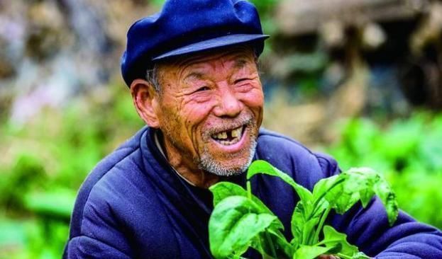 大鱼大肉|107岁长寿老人,血管仅67岁且不堵,秘诀不是多运动,而是3件事