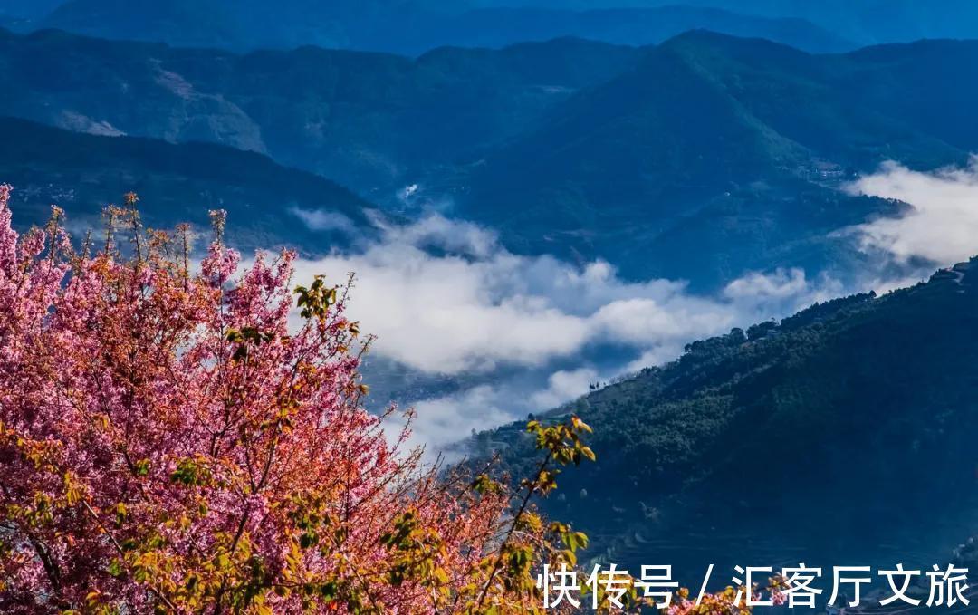 樱花|无量山，云南冬日里一场限定的浪漫！