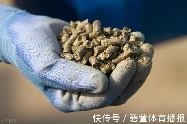 水温|悄悄告诉你，初秋出钓，要做到这5点调整