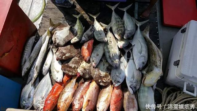 为了海钓我已经家徒四壁,除了钓鱼发家致富我已无别的选择