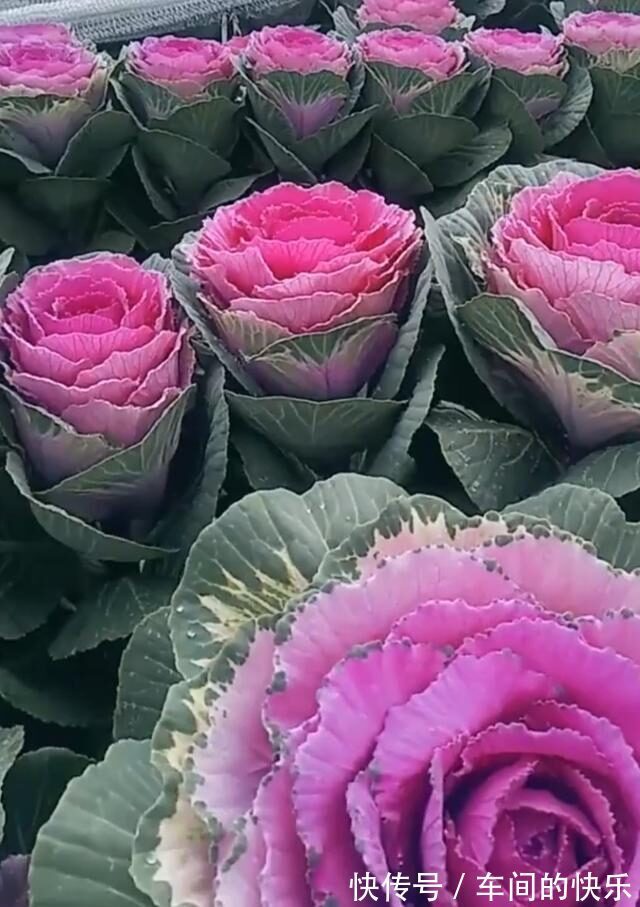 |幽默与笑话六则 月薪十万等