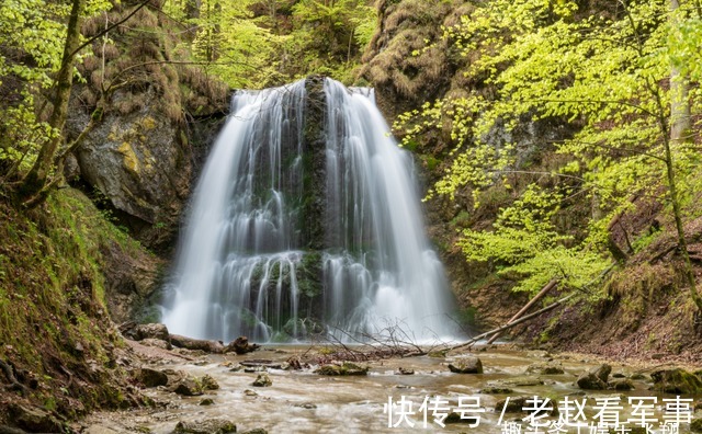 前任|今年，喜鹊飞回，苍天垂怜，前任归来，情会散，走出伤痛