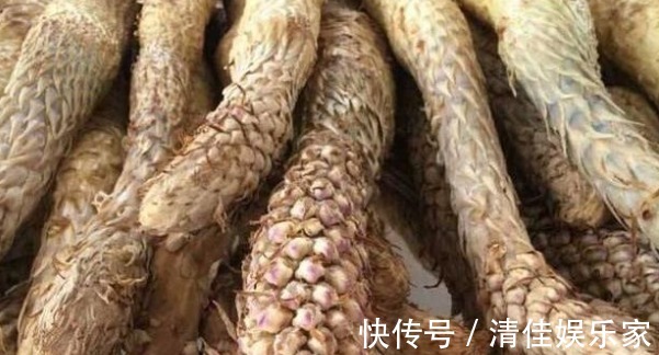 雄激素|5物是天然“雄性激素”,男性平时常吃,补肾益精,更有魅力