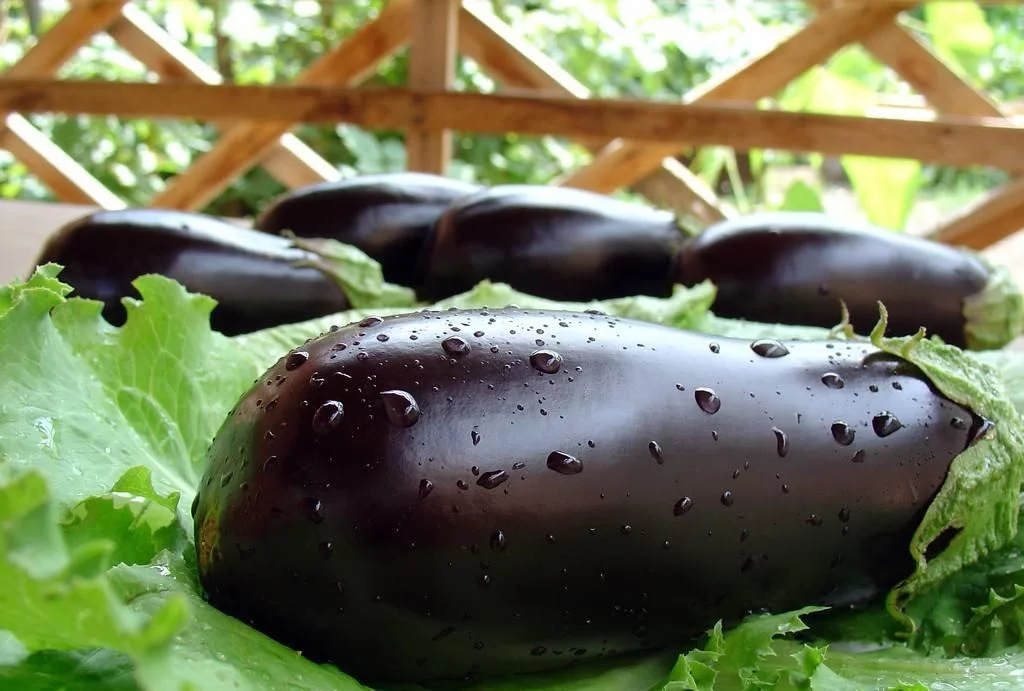 静脉曲张的7大“克星”食物，多吃这些，赶走“小蚯蚓”