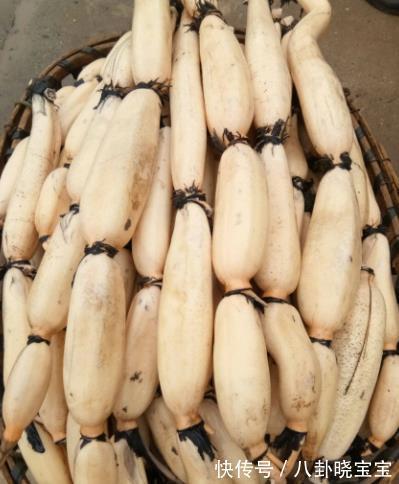 植物蛋白|立秋后“对付”秋老虎,多吃这4种蔬菜,物美价廉又去燥,营养高