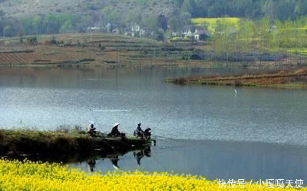 仲春开始钓水库,这些地形是鱼窝和鱼道,渔获大多这里出的