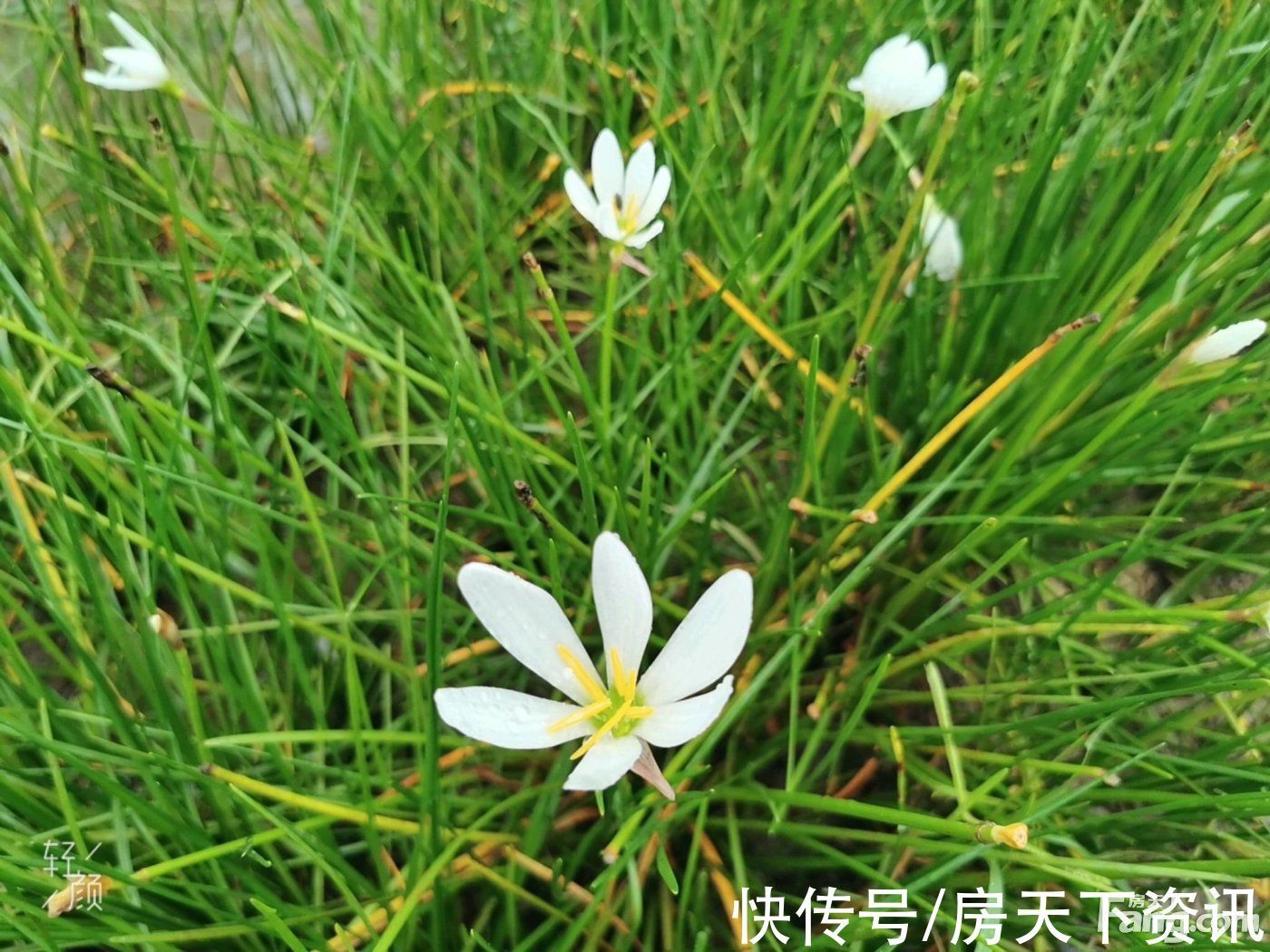 华清园|华清园·文津观澜怎么样?看置业顾问刘财发布了一条项目新消息