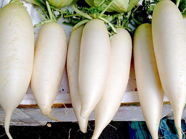 食物|女性不想子宫脏脏的,常吃4种食物,排出污血,皮肤细嫩光滑!