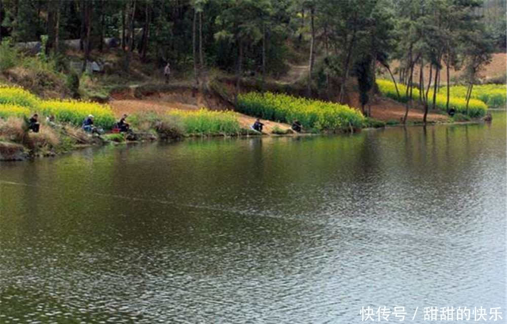 春季钓浅滩,这些浅滩才是春钓的主战场,这里下竿不愁钓不到鱼!