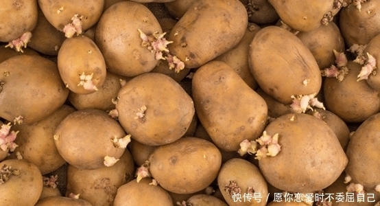 家里面买多了土豆长芽了,扔掉实在可惜,不妨试试这几个妙用