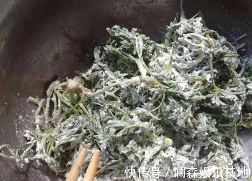 极品|这草能长半人高,是极品中药,但农民不识货,常当野草除掉!