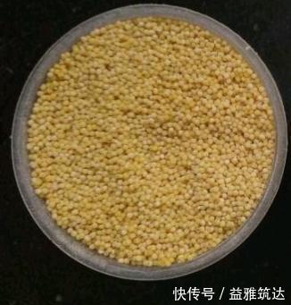 陈小米|立秋后,多给家人吃这饭,营养滋补健脾胃,比吃米饭强多了!