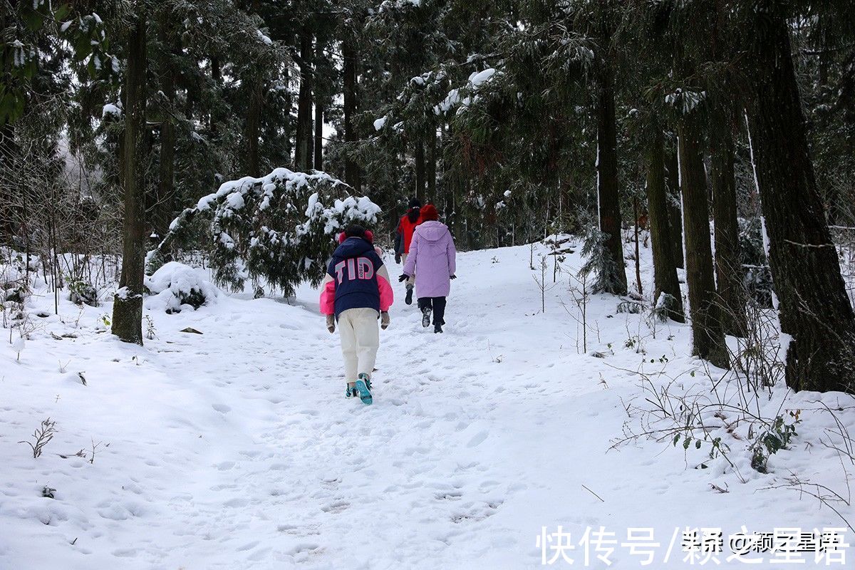 鹿亭乡|宁波赏雪胜地，东岗天池，林海雪原，天然滑雪场