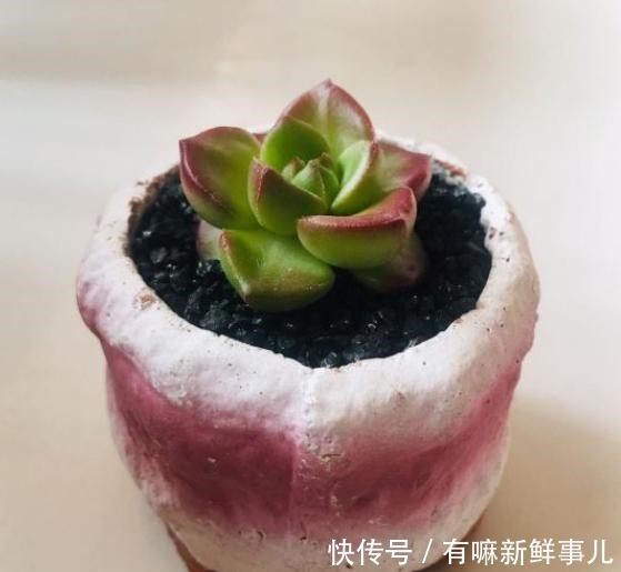 理清这些关系,或许你养的多肉不会徒长了!