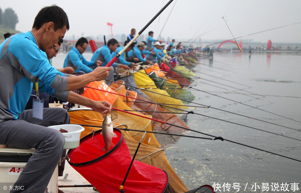 制作发酵玉米粒去钓鱼,进窝全是大鲤鱼、草鱼,效果不会让你失望