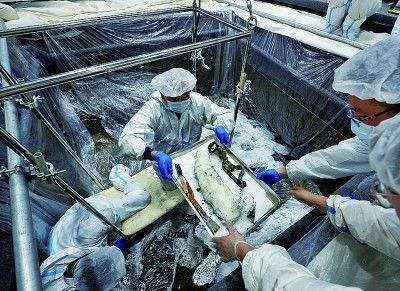 三星堆|三星堆，一枚古蜀文明的“时空胶囊”