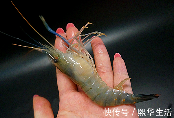 可口|美味可口的私房盐水虾，美味可口，制作简单