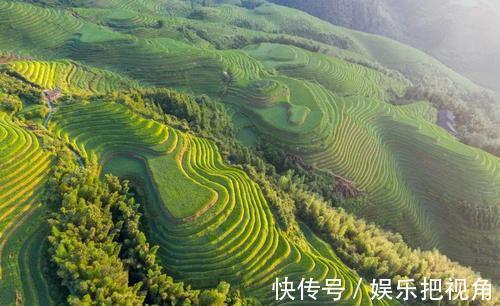 奇观|赣州一冷门景点藏于深山，为国家三大梯田奇观之一，名气却很小