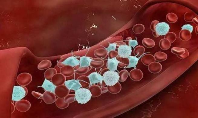 日常生活中|男性适当服用六味地黄丸,最后能收获什么很多人还不明白