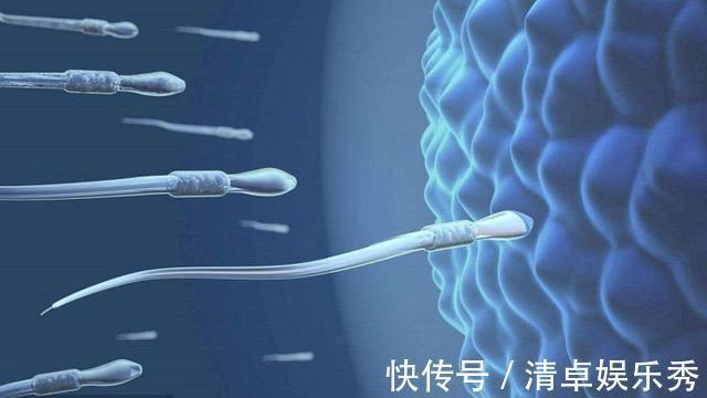 受孕|男性最老能几岁让女性怀孕?医生一般不说,但是你最好要知道