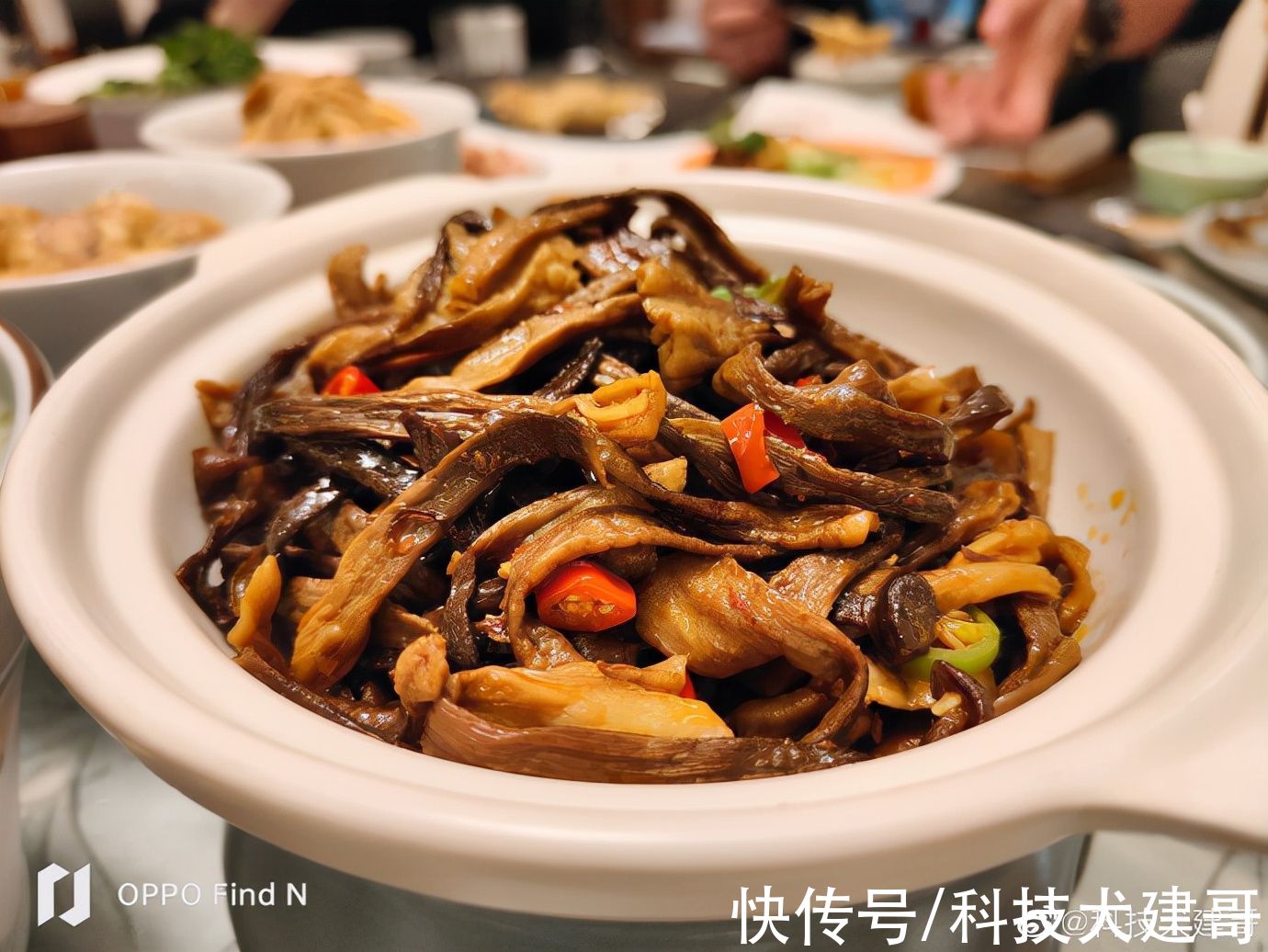 OPPO|「科技犬」OPPO Find N随手拍：锅包肉、酸菜饺子，太香了