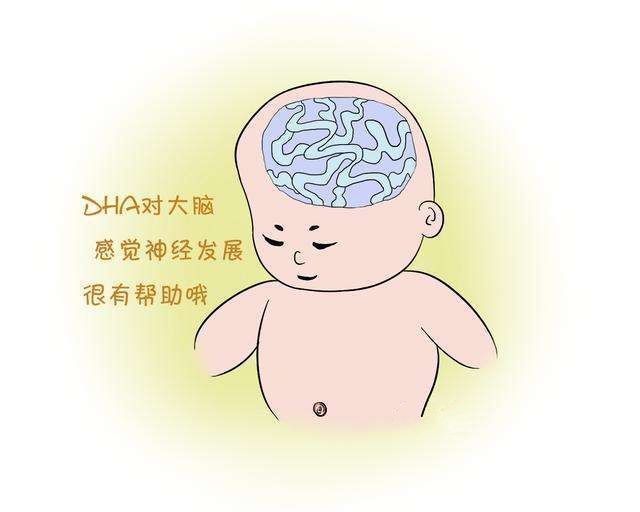 智力发育|胎儿智力发育高不高，从孕妈身体3个反应可得知，快学起来！