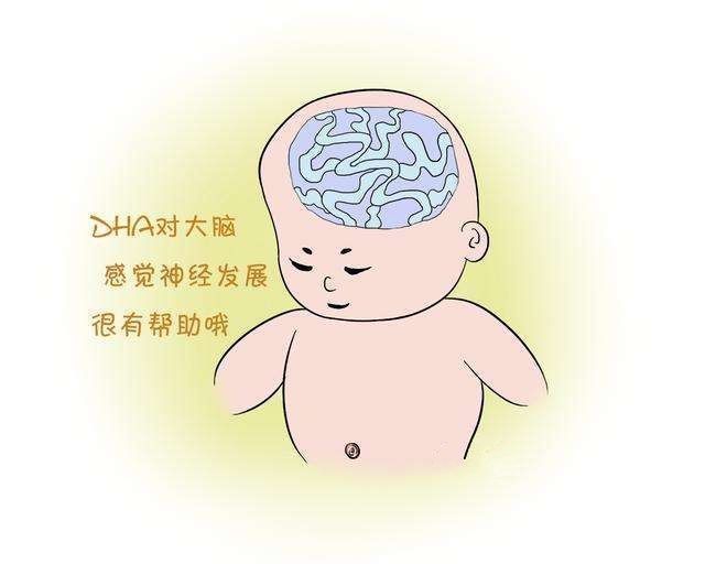 智力发育|胎儿智力发育高不高,从孕妈身体3个反应可得知,快学起来!