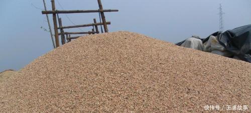 营养土还在花钱买几种东西“掺一点”,土壤“肥得流油”!