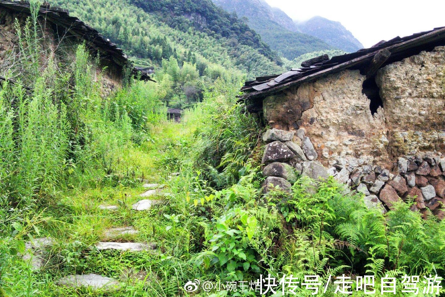 戴云村|不被外界打扰！戴云山下的千年古村落，一个鲜有人知的世外桃源