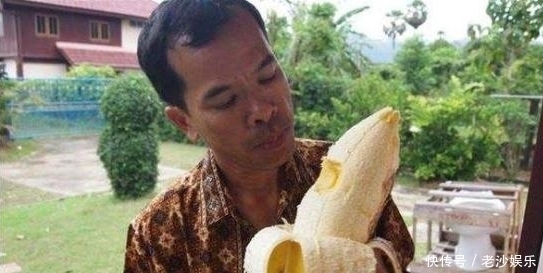 用来|非洲“最大的香蕉”,不但可以煮着吃,还能用来酿酒呢