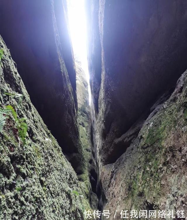 醉夕阳$「七绝·醉夕阳」知秋木叶遍山黄，宠辱偕忘醉夕阳