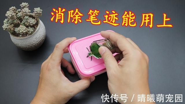蚊虫|风油精的“值钱作用”,好多人不懂,涨知识了