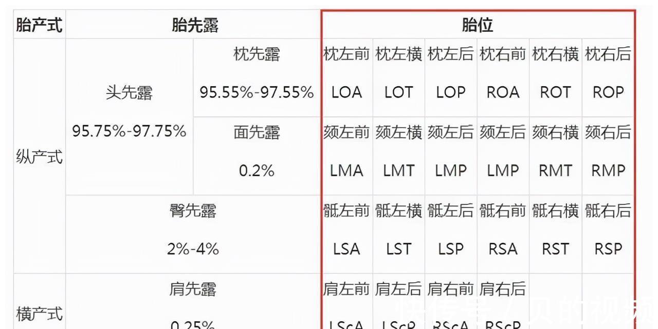 孕妇|到了这个孕周，胎儿“胎位”基本固定，以后再纠正就难了