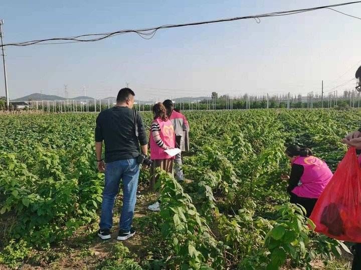 霜晨月！西风烈