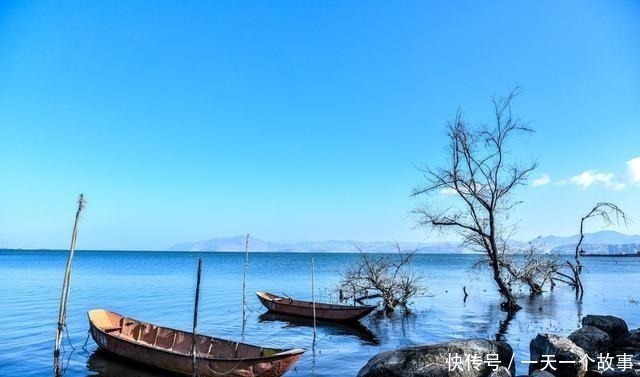 酬张少府|20首传诵千古的诗词,全是顶级名篇,每一首都值得背下来