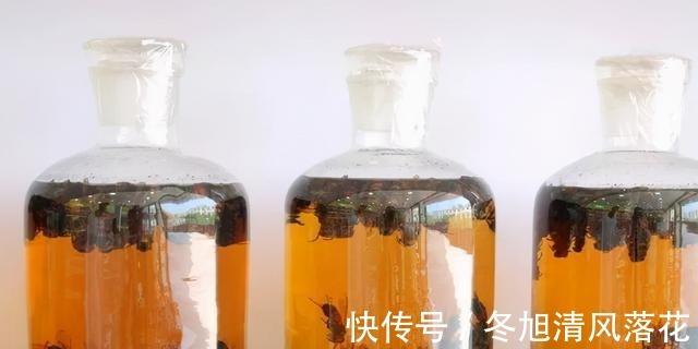 酒味用到饵料中有一大禁忌,很多钓友用错了,应引起高度重视!