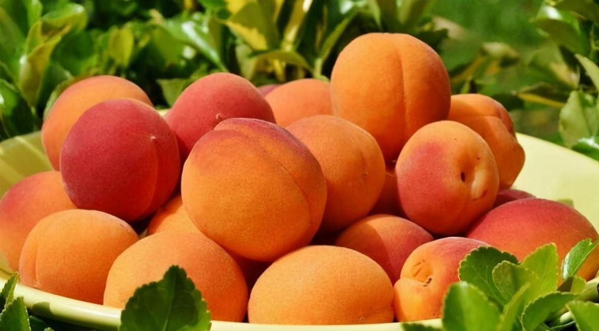 润肤|聪明的人最爱吃3种食物，补血润肤、减少皱纹，爱吃就赚了