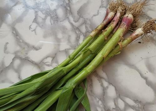 春天，这菜杀菌防感冒再不吃就老了，简单一炒味道超好，孩子都能多吃一碗饭