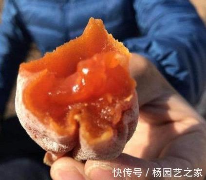 软黄金|人到中老年:不论有钱没钱!建议多吃“软黄金”,胜过天天人参汤