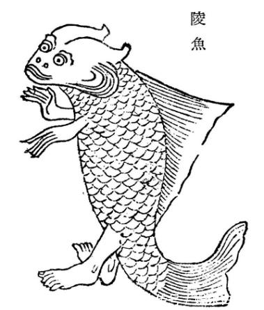 陵鱼&南海出现过的鲛人,头似人尾似鱼,鲛人真的存在吗?古书中有记载