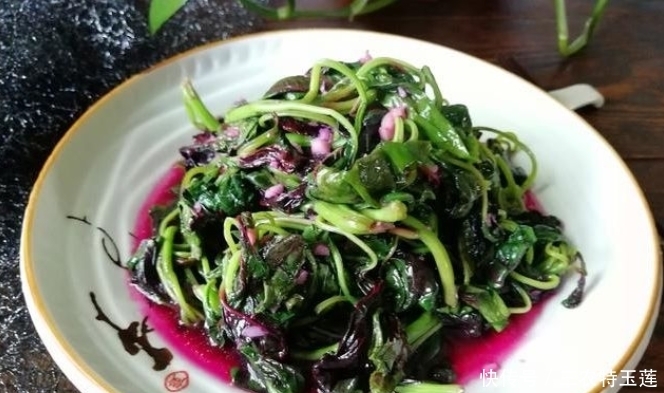 营养|乡下一种野菜,价值珍贵,是一种营养丰富的野菜,遇见请珍惜