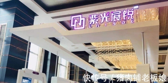 智能手机|被低估的国产芯片巨头,年营收117亿元,多个领域占主导地位