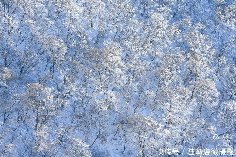 老君山：追梦你的白雪，你却馈赠天宫云海