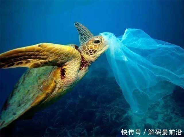 体积 “海上巨兽”向中国逼近,体积庞大堪比陆地,未来还将膨胀9倍