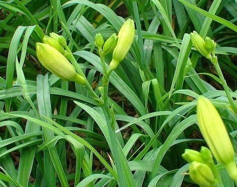 想身体变好，多吃的食物，预防皮肤干燥，淡化色斑和皱纹，皮肤好